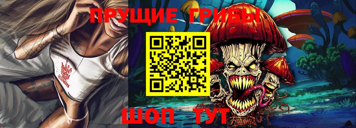 Галлюциногенные грибы GOLDEN TEACHER  Вход с VPN  Котовск 
